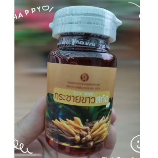 [ลด 40.- โค้ดINCSM5F+หน้าร้าน] กระชายขาวสกัด เตชีวา บำรุงร่างกาย บรรจุกระปุกละ 30 แคปซูล แคปซูลละ 250 มก.