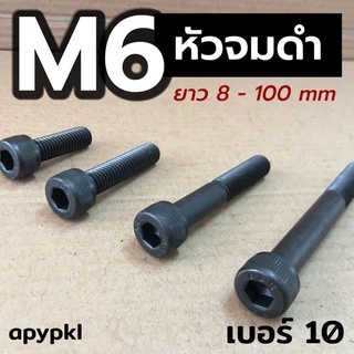 M6 สกรูหัวจมดำ น็อตหกเหลี่ยมดำ เกรด 12.9