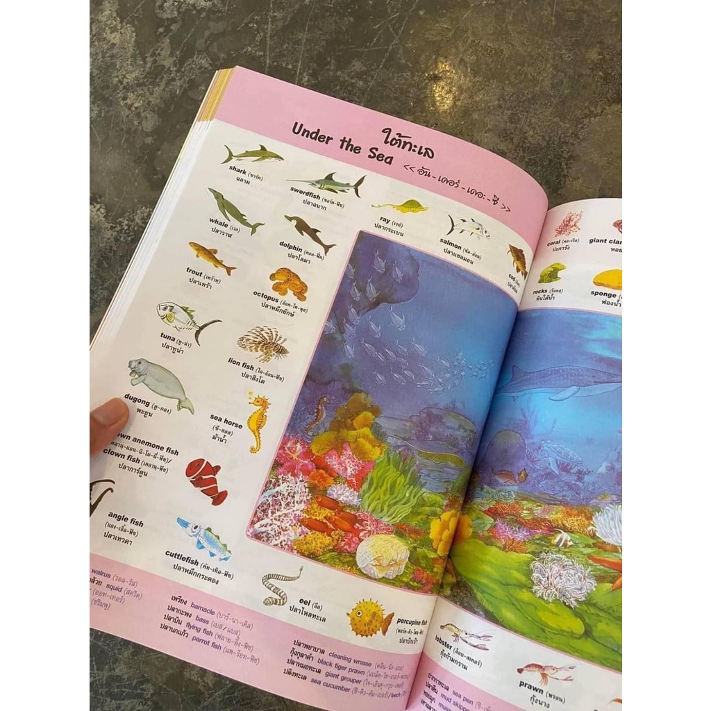 สมุดคำศัพท์ภาษาอังกฤษ  มีมากกว่า 5000คำ มีหลายหมวด  คำศัพท์เกี่ยวกับจักรวาล เรือประเภทต่างๆ อวัยวะใน