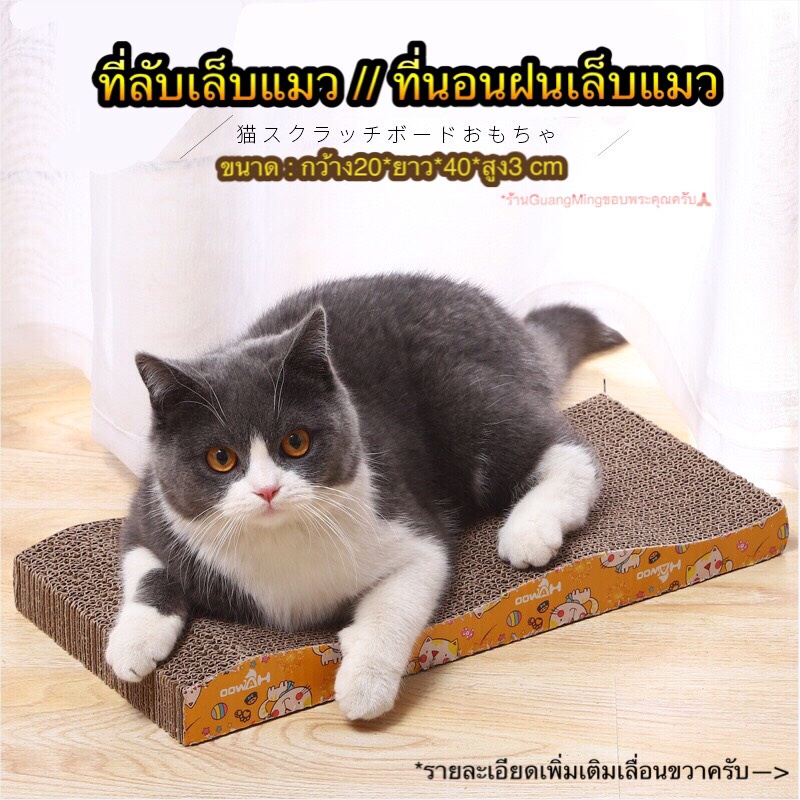 [ ลด15% ขั้นต่ำ 499 code: PTPDMGUA ] ที่ลับเล็บแมว ที่ลับเล็บ ของเล่นแมว พร้อมส่ง