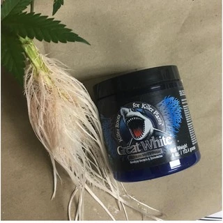 Great White Mycorrhizae พรีเมี่ยม ไมคอไรซ่า ปุ๋ย เร่ง ราก ระเบิด ราก เชื้อรา เร่งราก