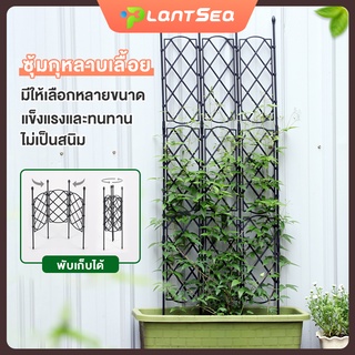 ซุ้มกุหลาบ ซุ้มไม้เลื้อย ซุ้มกุหลาบเลื้อย ปลูกกุหลาบ โครงกุหลาบเลื้อย ท่อเหล็กเคลือบ PE กันสนิม โครงเหล็กดัด