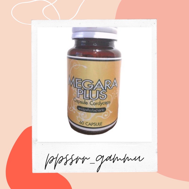 [ราคาพิเศษ!!!] Megara plus Capsule Cordyceps แคปซูลเห็ดถั่งเฉ้าสกัด