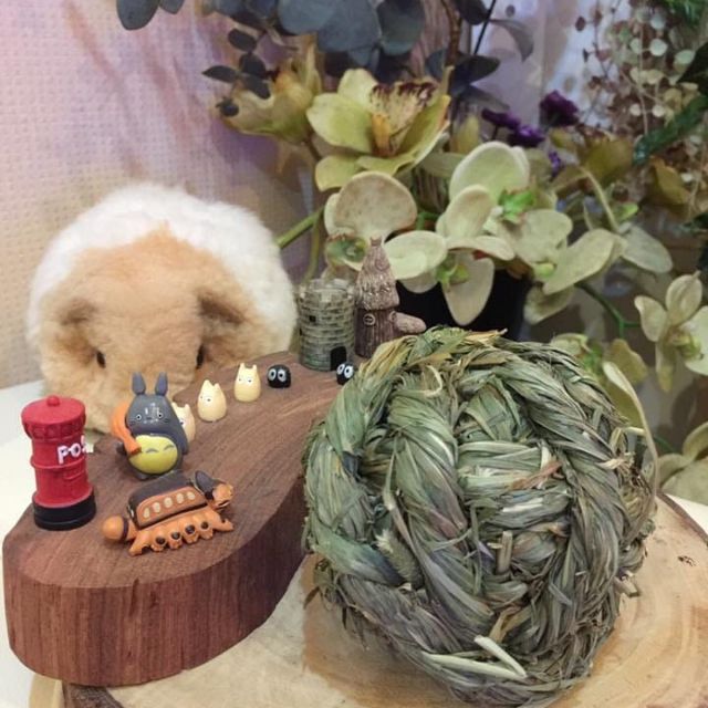 KB Timothy​ Ball​ Organic ลูกบอลหญ้า​