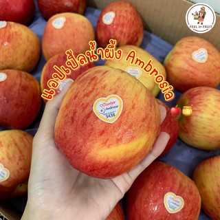 แอปเปิ้ลน้ำผึ้ง​🍎🍯 ส่งรถเย็น❄️ จากNew Zealand กรอบ​ หวานฉ่ำ​ อร่อย