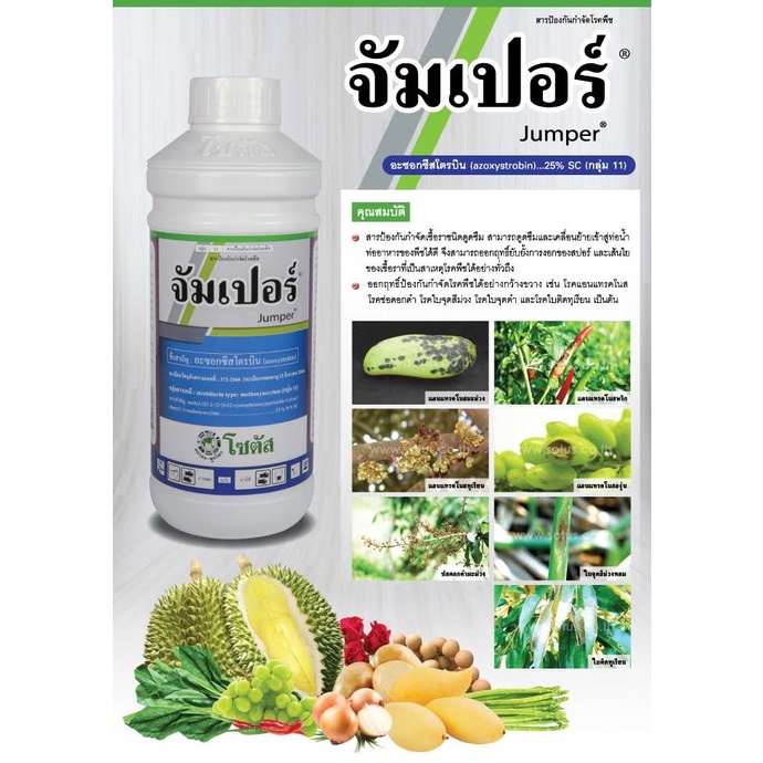 จัมเปอร์ ขนาด 1 ลิตร ( อะซอกซีสโตรบิน25%) กำจัดกุ้งแห้ง แอนแทรคโนส กาบใบแห้ง