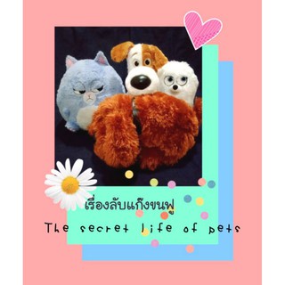 แก๊งขนฟู🐾Pets หมาเพ็ท ตัวใหญ่ ขนาด12-13"_ตุ๊กตาหมาPets แกงค์ขนฟู ตุ๊กตาแมว🌈ตุ๊กตาสุนัข 🐾ตุ๊กตาแก๊งค์ขนฟู