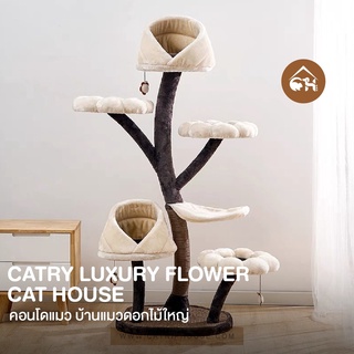 Catry Luxury Flower Cat House คอนโดแมวบ้านทรงดอกไม้ใหญ่ CAT CONDO คอนโดแมว