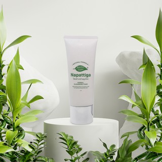 โฟมล้างหน้า ณพัฐธิกา(Herbal Cleansing Foam)