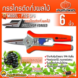 PUMPKIN กรรไกรตัดกิ่งผลไม้ ตรงแหลมใบสแตนเลส 6 นิ้ว  รุ่น PTG-SP6