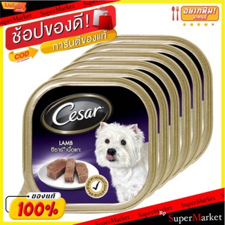 Cesar อาหารสุนัข ซีซา รสเนื้อแกะ ขนาด 100กรัม/ถาด ยกแพ็ค 6ถาด ชนิดเปียก Dog Food Beef ซีซาร์