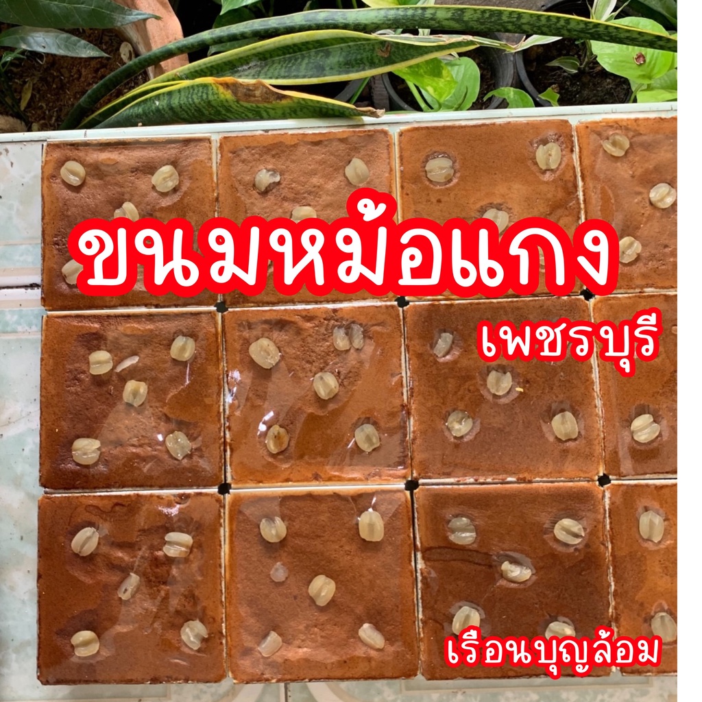 ขนมหม้อแกง ไข่เผือก ของแท้เจ้าเก่า เพชรบุรี ขายมาแล้ว10kถาด