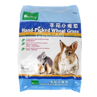 Jolly Hand-Picked Wheat Grass หญ้าวีทกราส ต้นข้าวสาลีอ่อน สำหรับกระต่าย ชินชิล่า และแกสบี้ (350g) (JP219)