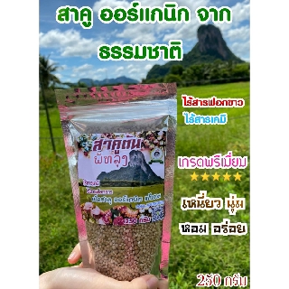 สาคูต้น เม็ดสาคูแท้  เกรดพรีเมียม แป้งสาคูต้นพัทลุง  ออร์แกนิค จากธรรมชาติ มีประโยชน์ต่อร่างกาย ไฟเบอร์สูง 250 กรัม