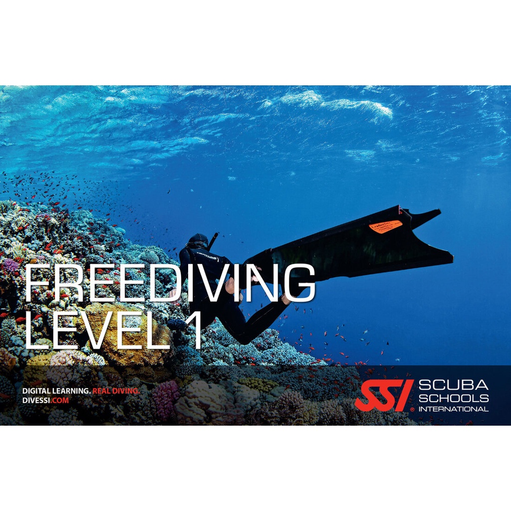 SSI FREEDIVING LEVEL 1