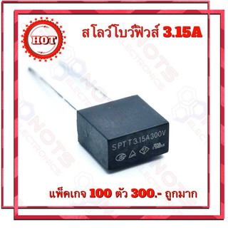 สโลโบฟิวส์ 3.15A 300VAC/DC SPT300TE 3A15  3.15A 300V   ❇️ยี่ห้อ SMART ELETRONICS lnc. ผลิต Korea