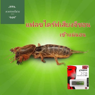 แฟลชไดร์ฟ เสียงจีซอน จีซอน แมงกระซอน