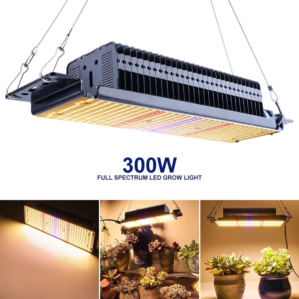 300W 300W LED Plant Grow Light Full Spectrum For Greenhouse and Indoor Plants Veg Flower 