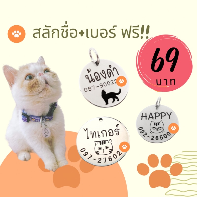 ส่งไว ป้ายชื่อน้องแมว ป้ายแมวกันพลัดหลง ไซส์เลือกตามขนาดน้องแมวได้ วัสดุสแตนเลส สลักฟรี แถมห่วงแขวน