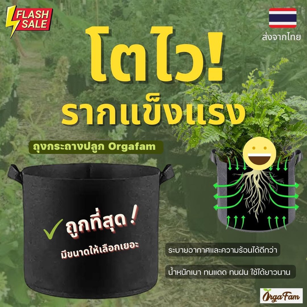 กระถางต้นไม้ กระถางผ้า Grow bag ถุงผ้าปลูกต้นไม้ ถุงปลูกต้นไม้ สีดำ วงกลม ขนาดเล็ก รากแข็งแรง เคล็ดลับนักปลูก (1 ชิ้น)