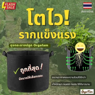 กระถางต้นไม้ กระถางผ้า Grow bag ถุงผ้าปลูกต้นไม้ ถุงปลูกต้นไม้ สีดำ ขนาดใหญ่ โตไว รากแข็งแรง เคล็ดลับนักปลูก (1 ชิ้น)