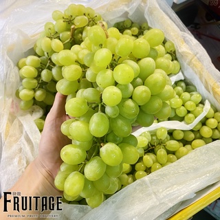 องุ่นเขียวไร้เมล็ด (1KG) Seedless Green Grape (CHN) ~ลดพิเศษ~ องุ่นไร้เมล็ด องุ่นเขียวไร้เม็ด องุ่นทิมสัน องุ่นทอมสัน