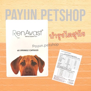 Renavast for dog อาหารเสริมโปรตีน สำหรับสุนัข อายุ 1 ปีขึ้นไป บรรจุ 60 แคปซูล