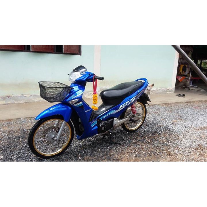 My Image 14