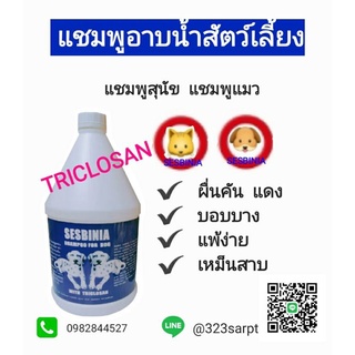 แชมพูสุนัข  แชมพูแมว 3.5 ลิตร  แชมพูอาบน้ำสุนัข แมว  แชมพูไทรโครซาน  ใช้กับสุนัขผิวผื่นคัน  บอบบาง  แพ้ง่าย  เหม็นสาบ