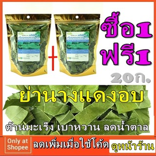 โปร1แถม1 ย่านางแดง ถุงซิปล็อค ห่อละ 20 กรัม ใบชา อบแห้ง สมุนไพร แท้ 100% ใช้ ชงชา