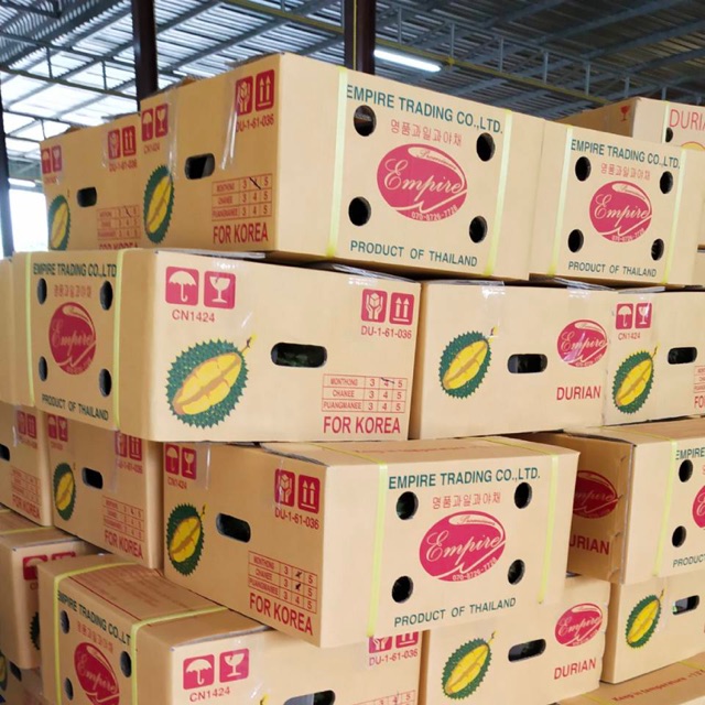 Fresh Durian chanthaburi