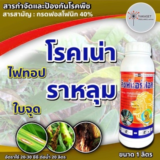 กรดฟอสโฟนิค 1ลิตร #สิงค์แอร์ฟอส 1 ลิตร ต้นตำรับ ฝังเข็ม ทุเรียน  สารกำจัดเชื้อรา รากเน่า โคนเน่า ยอดเน่า ต้นเน่าโรคพืช