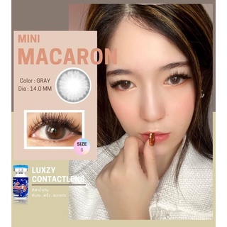 LuxzyLens mini Macaron Gray ลัคซี่เลนซ์ แถมตลับ ค่าสายตา