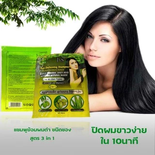 KAIDEE ยาย้อมผมสมุนไพร แชมพูปิดผมขาว เปลี่ยนสีผมสมุนไพร ยาย้อมผม ยาย้อม รุ่นIVS