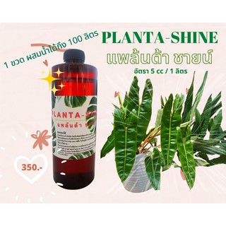 PLANTA-SHINE แพล้นต้า ชายน์ ผลิตภัณฑ์จากพืชเพื่อปกป้องดูแลใบไม้ให้เงางาม