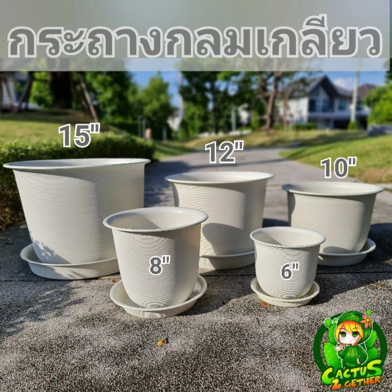 ถูกและหนา‼️กระถางกลมมินิมอล(พร้อมจานรอง) กระถางกลมเกลียว(ญาญ่า)4สีขนาด6"/8"/10"12"/15"✅️รับประกันความหนา ทน เหนียว