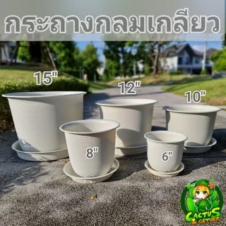 ถูกและหนา‼️กระถางกลมมินิมอล(พร้อมจานรอง) กระถางกลมเกลียว(ญาญ่า)4สีขนาด6"/8"/10"12"/15"✅️รับประกันความหนา ทน เหนียว