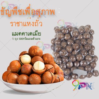 แมคคาเดเมีย 500g. แบบมีเปลือก แมคคาเดเมีย (แถมที่แกะเปลือกฟรี)  ธัญพืชเพื่อสุขภาพ ราชาแห่งถั่ว