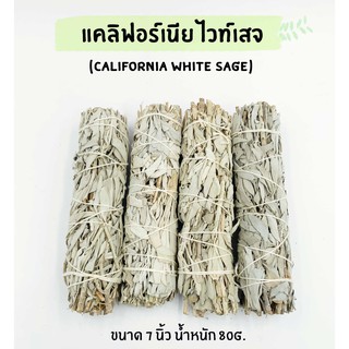 White Sage ไวท์เสจ ใบไวท์เสจ (California White Sage) ใบจากต้นเสจ ธรรมชาติ ขนาด 7 นิ้ว