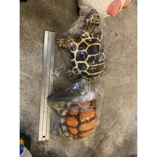 เต่าเรซินใหญ่🐢ตุ๊กตาแต่งสวน ตุ๊กตาแต่งบ้าน ทำจากเรซิน ขนาดกว้าง 16 cm ยาว 21cm
