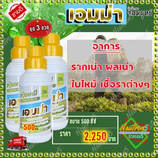 💥ส่งฟรี 💥เอมม่า ปุ๋ยน้ำเอมม่า ( 500 ซีซี 1 ขวด ) ป้องกันการเกิดเชื้อราในพืช ปุ๋ยน้ำสูตรเข้มข้น เพิ่มความแข็งแรงให้กับพืช