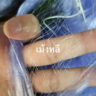 ตาข่ายดักปลา(มีคร้าวบน) (ใยบัว0.15)🎈2.5เซน-16เซน🎈ลึก 20/30/40/50/75/100ตา ป้าย200เมตร