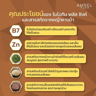 Amsel Biotin + Zinc & Horsetail Extract แอมเซล ไบโอติน ซิงค์ และสารสกัดจากหญ้าหางม้า(30 แคปซูลx1ขวด)