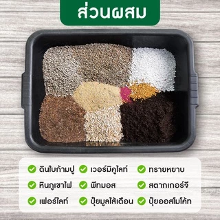 ดินปลูกแคคตัส สูตรพรีเมี่ยม ดินปลูกฮาโวเทีย ปลูกแคคตัสได้ทุกชนิด บรรจุ 1 ลิตร