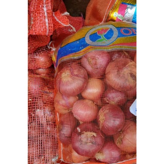 Indian Onion 5 kg imported Big Size หมอแขก ลูกใหญ่