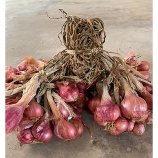 ราคาหอมแดงมัดจุก (มีต้น) 1กก.*** Shallot1 kg *****#Shallot หอมแดง#มัดจุก#เครื่องครัว#กระเทียม#garlic#ยี่ห้อ✔️✔️****