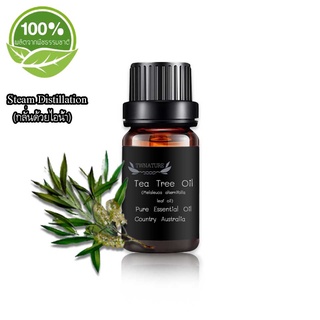 Pure Tea Tree Essential Oil น้ำมันหอมระเหยแท้ ทีทรีออยล์ melaleuca alternifolia leaf oil จาก Australia TWNATURE