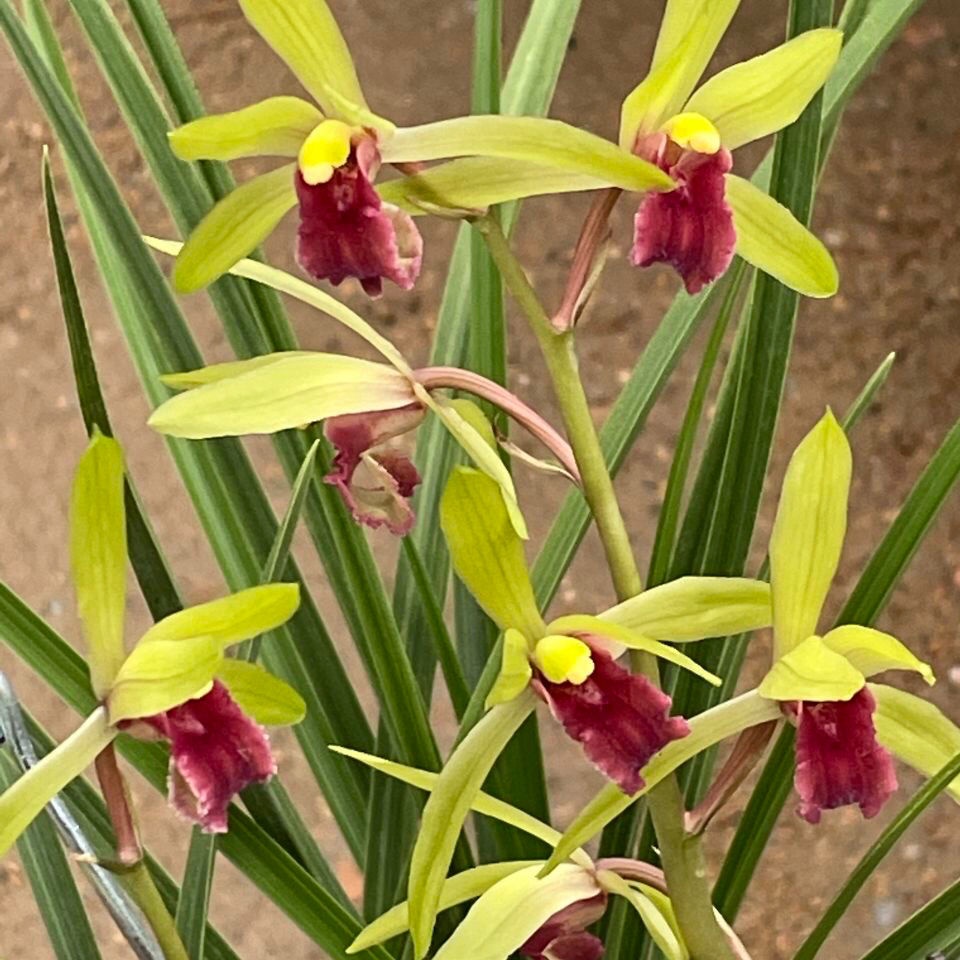 My Image 3