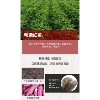 F12เส้นใหญ่หม่าล่า เส้นมันเทศ พร้อมส่ง(海龙红薯宽粉) ขนาด 248g เส้นทำจากมันเทศ เส้นเหนียวนุ่มอร่อย กินคู่กับชาบูหม่าล่า