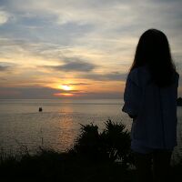 Profile montri618